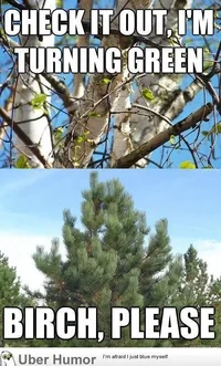 f7d1f17b7ac7f139089b6fbf7d81f0d1 (1).webp