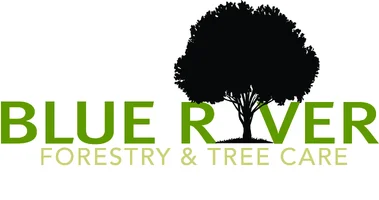BlueRiver_LogoFinal.webp