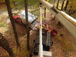 IMG_2774.webp IMG_2774.webp