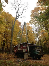 IMG_2779.webp IMG_2779.webp