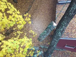 IMG_2785.webp IMG_2785.webp