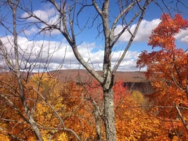 IMG_2795.webp IMG_2795.webp