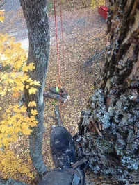 IMG_2797.webp IMG_2797.webp