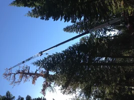 image.webp image.webp