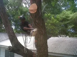 2016-11-01 22.58.58.webp