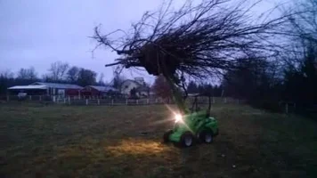 420big mouthGrapple.webp