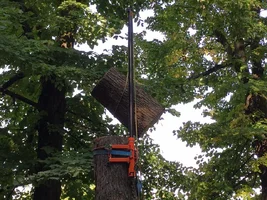 GRU ABBATTIMENTO.webp