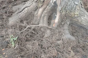 20161109_094412-1.webp 20161109_094412-1.webp