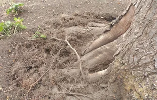 20161109_094418-1.webp 20161109_094418-1.webp