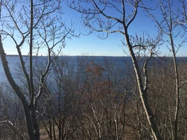 IMG_0359.webp IMG_0359.webp