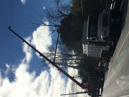 image.webp image.webp