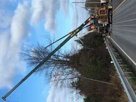 image.webp image.webp