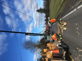 image.webp image.webp