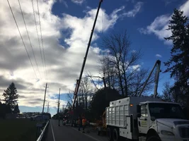 image.webp image.webp