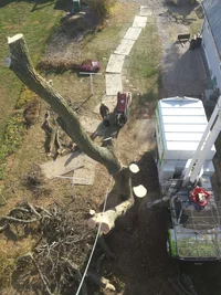 20161111_135814.webp 20161111_135814.webp