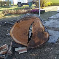 IMG_20161112_112532.webp IMG_20161112_112532.webp