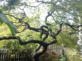 IMG_0656.webp IMG_0656.webp