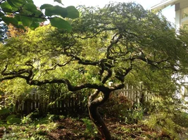 IMG_0657.webp IMG_0657.webp