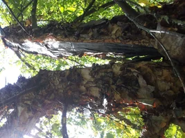 2015-09-08 15.10.38.webp