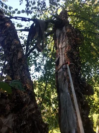 2015-09-12 10.13.07.webp 2015-09-12 10.13.07.webp