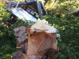 2015-09-12 10.49.18.webp