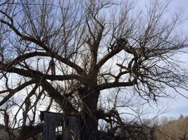 IMG_2857.webp IMG_2857.webp