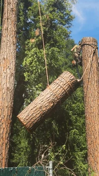 Screenshot_20161119-154229.webp Screenshot_20161119-154229.webp