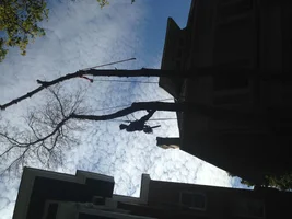 IMG_0072.webp IMG_0072.webp