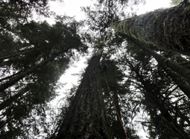 DSC04572 (1024x753).webp