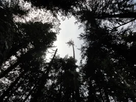 DSC04579 (1024x768).webp