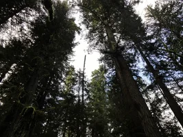 DSC04586 (1024x768).webp