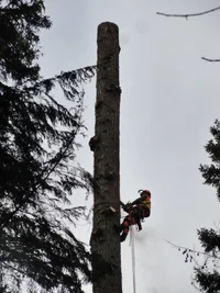 DSC04587 (768x1024).webp