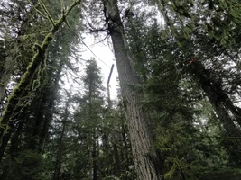 DSC04590 (1024x768).webp