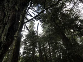 DSC04594 (1024x768).webp