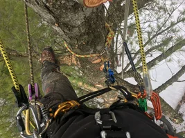 IMG_4454.webp IMG_4454.webp