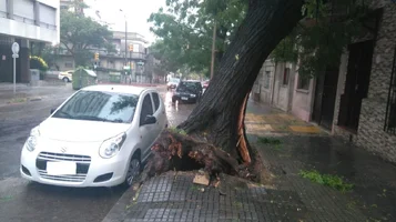 WhatsApp Image 2017-01-03 at 14.49.28.webp