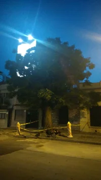 WhatsApp Image 2017-01-04 at 20.35.16.webp