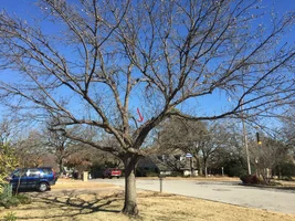 whole.webp whole.webp