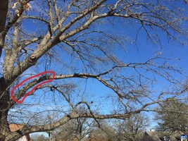 IMG_3983_Ink_LI.webp IMG_3983_Ink_LI.webp