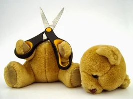 Teddy-cut-his-head-oops-funny-pics-800x600.webp