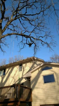 image.webp image.webp