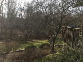 IMG_0172.webp IMG_0172.webp