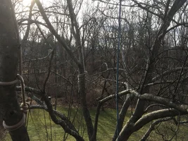 IMG_0175.webp IMG_0175.webp