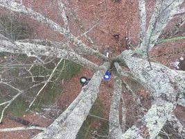 IMG_1179.webp IMG_1179.webp