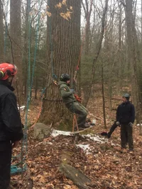 IMG_1436.webp IMG_1436.webp