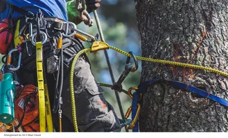 news-petzl-tech-tips-demontagearbre-3.webp