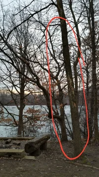 2017-02-22 22.20.54.webp