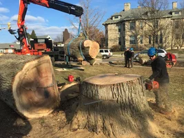 5A080A3C-DE45-4DBE-B0E6-F6F54E553E73.webp 5A080A3C-DE45-4DBE-B0E6-F6F54E553E73.webp