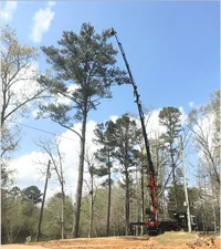 Screen Shot 2017-03-28 at 8.26.46 PM.webp