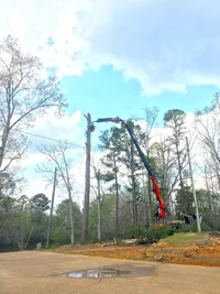 2017-03-28 14.57.55 HDR.webp